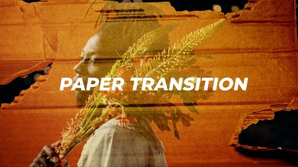 Paper Transition