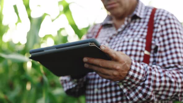 Farmer Using Digital Tablet Computer in Corn Field at Sunset