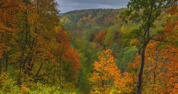 Timelapse of Autumn Landscape with Colorful Trees