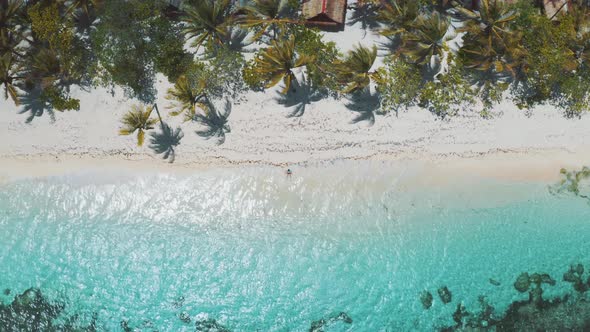 Vacation tour in the philippines alt