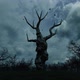 Dead Tree - VideoHive Item for Sale
