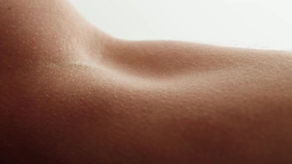 Hand Skin Texture Closeup alt