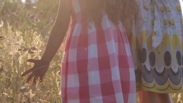 Two little girls walking through summer field