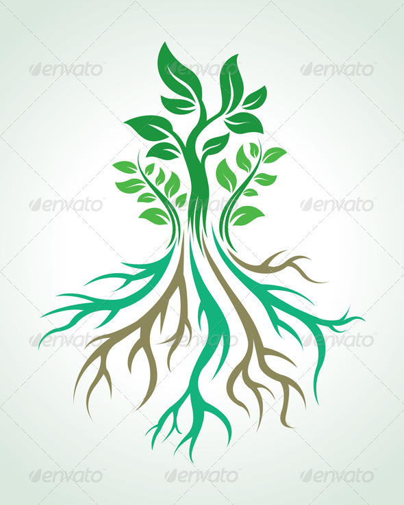 Roots Vector - Nature Conceptual
