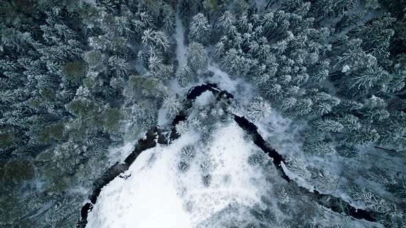 Epic Winter Forest Landscape From Above