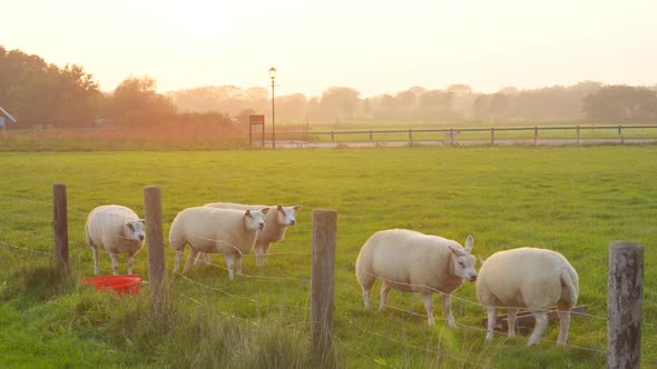 rural farmland car passing at sunset alt