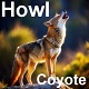 Coyote Howl 1