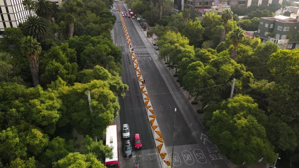 Reforma avenue, principal road of Mexico city with cempasuchil flowers of day of the dead. Aerial fo alt