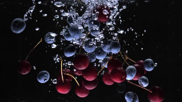 Berries Fall Into the Water Slow Mo