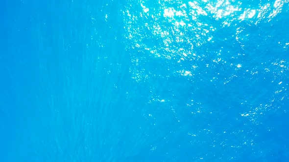 Aerial landscape of beautiful coast beach wildlife by blue ocean and clean sand background of a dayt alt