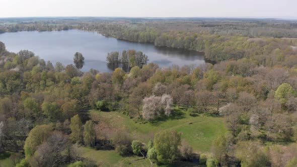 Cherry Trees In Blossom Next To Lake Vallevagen Sweden Aerial