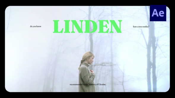 Cinematic Vibes Typography / Ae Product Promo template preview