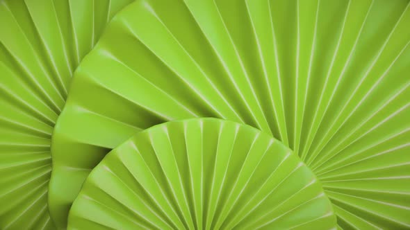 Abstract Rotate Decors Green Background