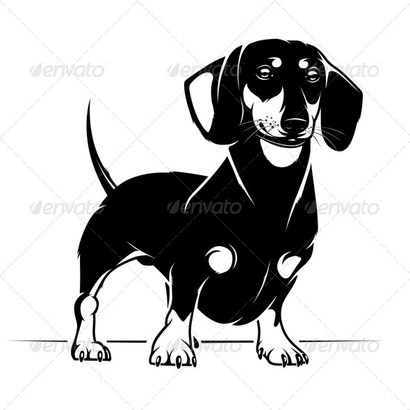 Dachshund Dog by Rottee | GraphicRiver