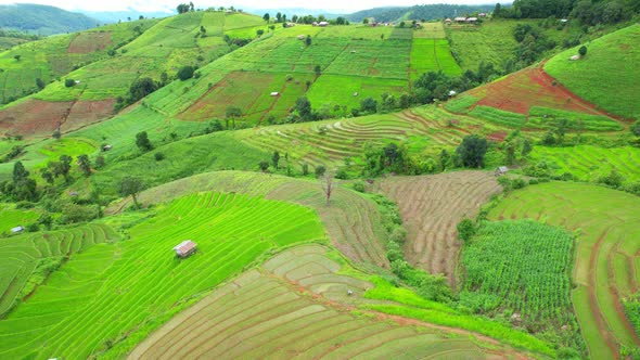Drone flying over fields in Pa pong piang rice terraces alt