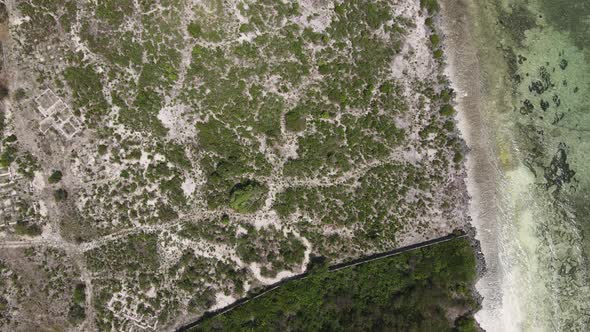 Thickets on the Coast of the Island of Zanzibar Tanzania Slow Motion alt
