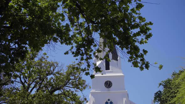 Traditional Cape Dutch Church tower appearing through oak trees in clear blue sky as moving towards alt