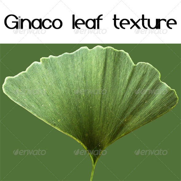 Ginaco Leaf Texture - 3Docean 471505
