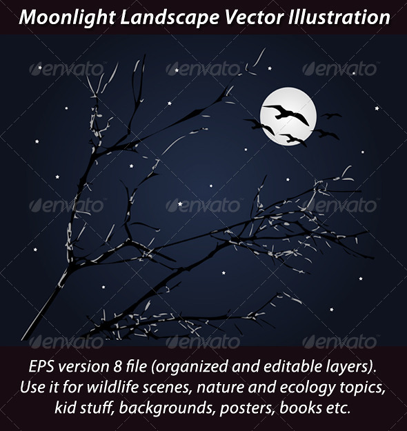 Moonlight Landscape Vector Illustration - Landscapes Nature