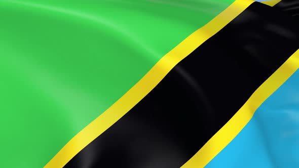 Tanzania Flag