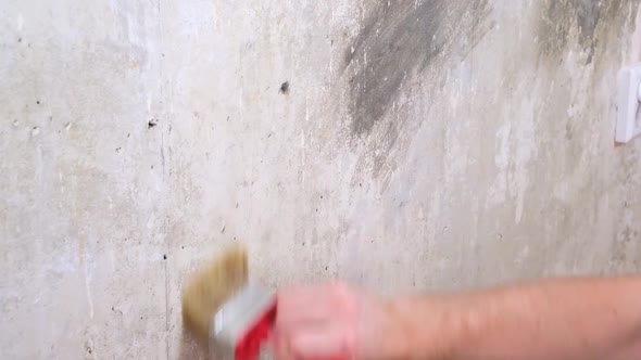 A Man Applies Wallpaper Glue with Brush for Wallpapering