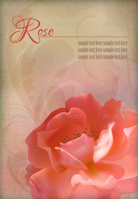 Rose Vector Vintage Old Paper Textured Background - Flowers & Plants Nature