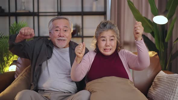 old mature asian couple cheering sport games competition together