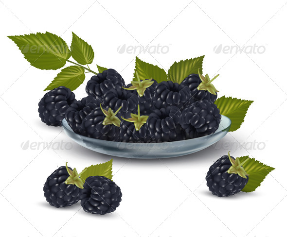 Blackberries in a Glass Bowl - Food Objects