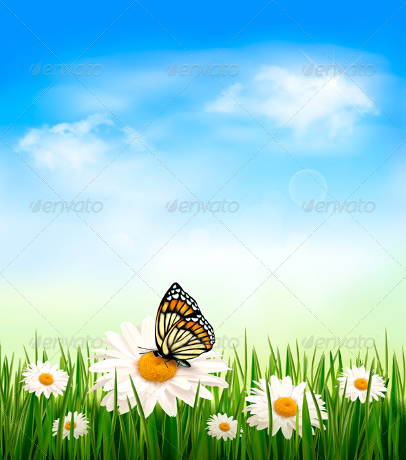 Nature Background with Grass and Butterfly - Flowers & Plants Nature