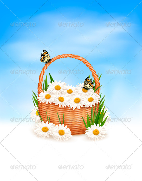 Nature Background with Summer Flowers - Flowers & Plants Nature