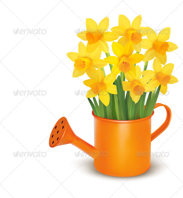 Spring Flowers with Watering Can - Flowers & Plants Nature