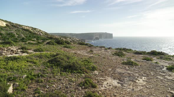 Scarce Greenery near Coastline of Mediterranean Sea in Malta alt