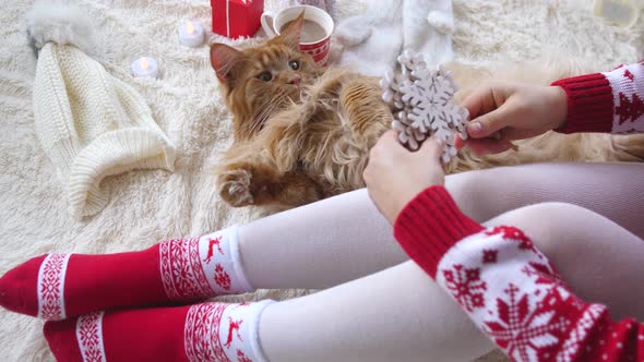 Girl Relaxing and Playing with Maine Coon Cat on Fluffy Blanket Between Christmas Decorations
