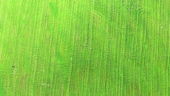 Aerial fly over agricultural land. Aerial view agricultural green field. 