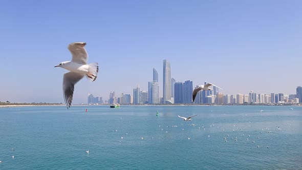 Abu Dhabi Cityscape During Sunny Day with Seagulls Flying Around View From Seaside alt