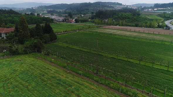 Agriculture Fields for Cultivation alt