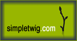 SimpleTwig Music Options