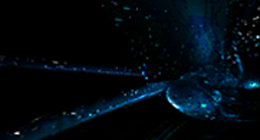 Hunters Org/Community