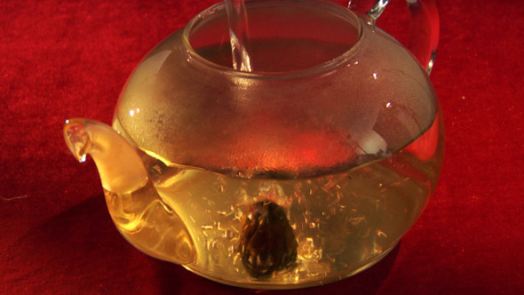Herbal Tea Infusion 9