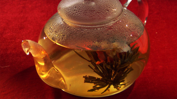 Herbal Tea Infusion 10