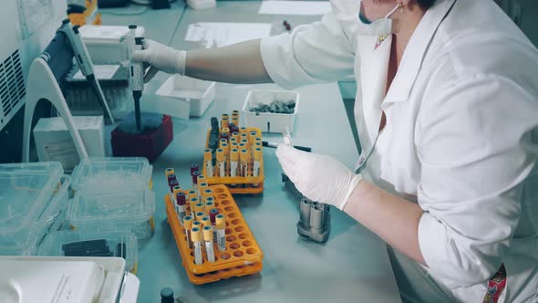A Lab Worker Holds a Pipette Dispenser and Transfers Blood Samples From Covid 19 Coronavirus alt