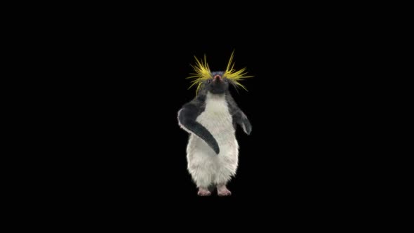 Penguin Dancing HD alt