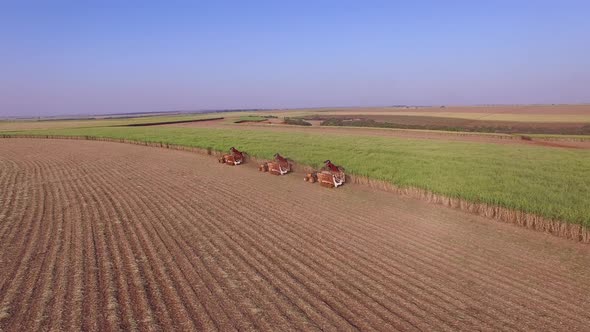 Sugar cane hasvest plantation with three machines view aerial alt