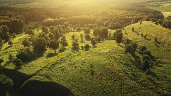 Bright Sunset Green Hills and Meadows Aerial View