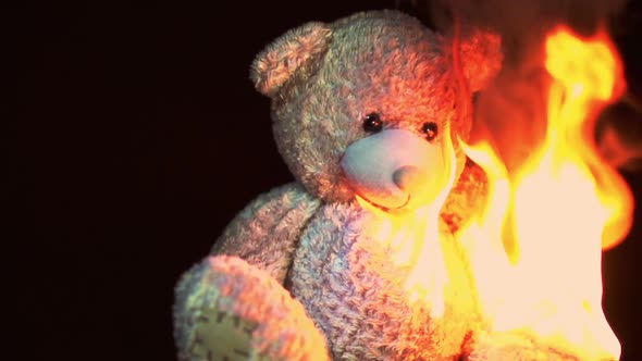 Burning bear