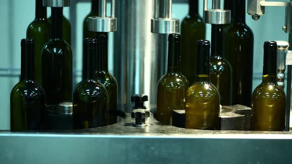 Conveyor with Wine Bottles at Wine Factory White Wine Production Bottle Washing and Filling alt