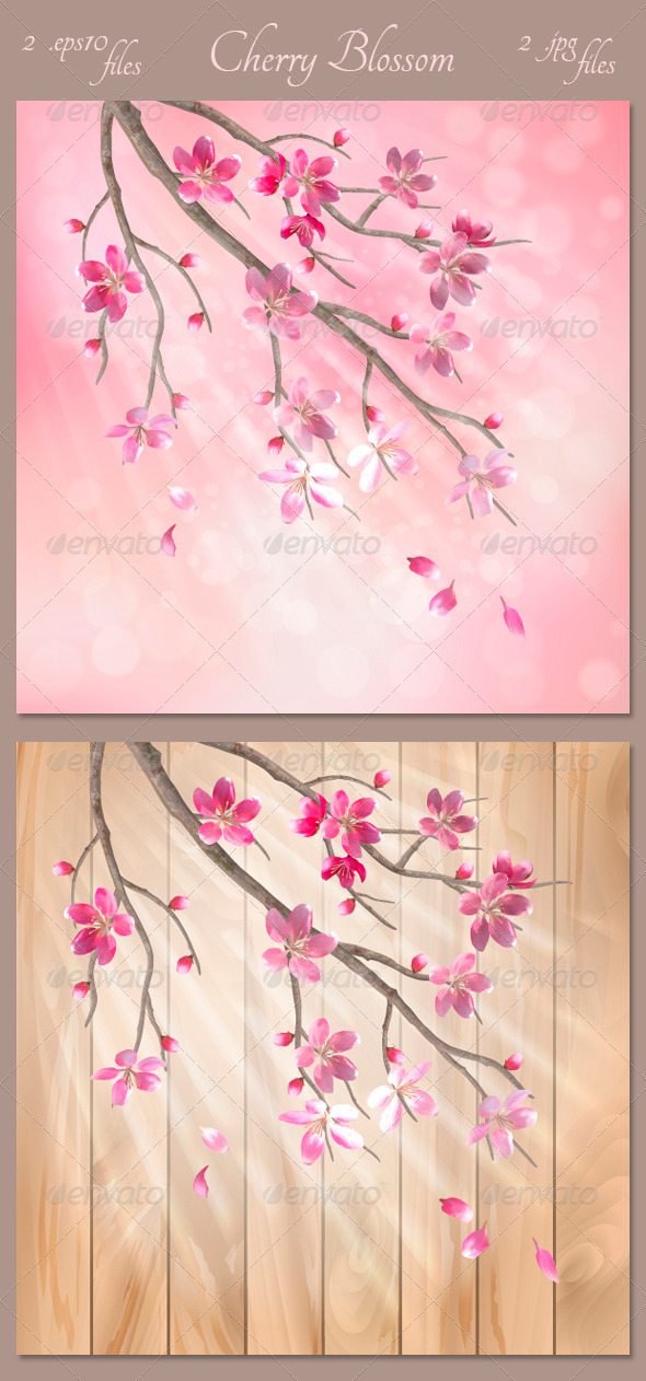 Spring Vector Tree Branch Cherry Blossom Flowers - Seasons Nature