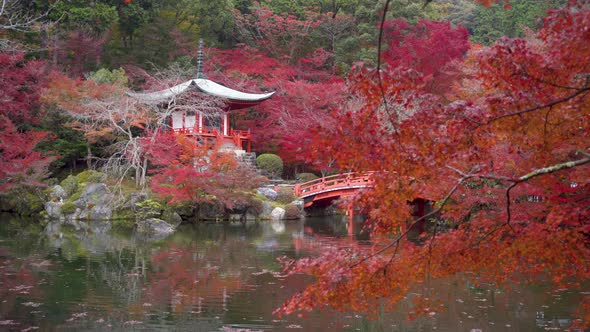 Daigo-ji temple with colorful maple trees in autumn, Kyoto, Japan alt