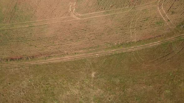 4k Top Shot Reveal of an idyllic sea beyond a green field alt