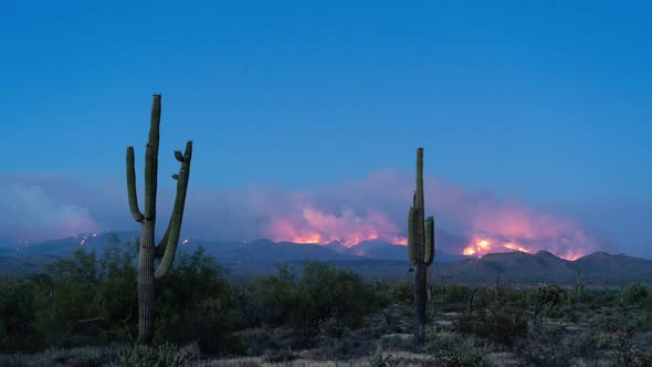 Arizona Wildfire Blue Hour Timelapse